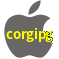 Aplicativo corgipg para iOS